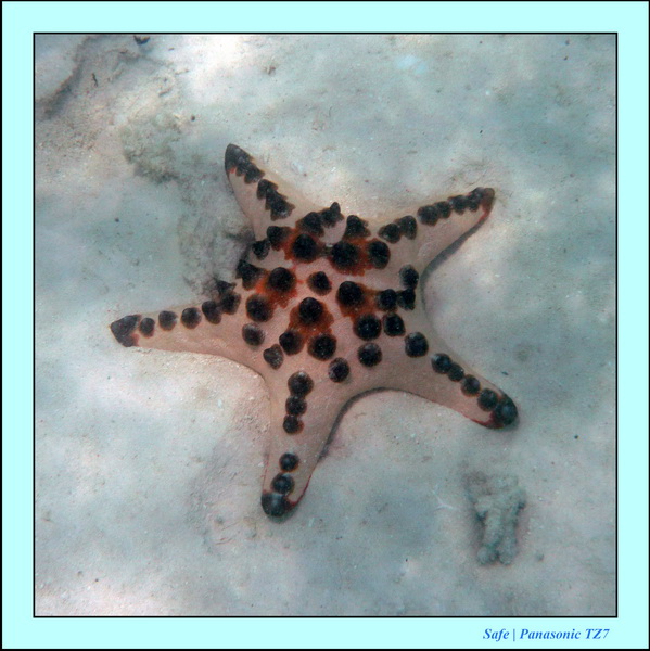 209   07   Sibuan 32